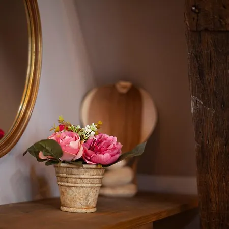Appartement Luxury Meir Anvers